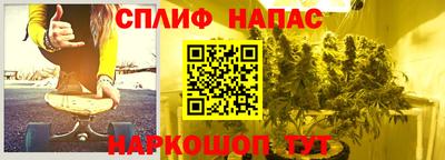 крисы Бийск