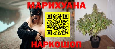 амф Обь