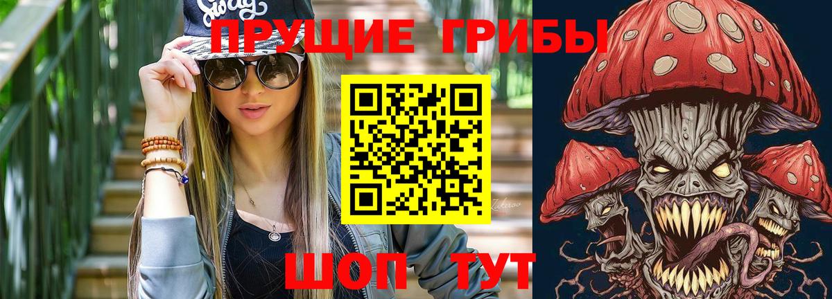 Галлюциногенные грибы Psilocybine cubensis  Вход с VPN  Ижевск 