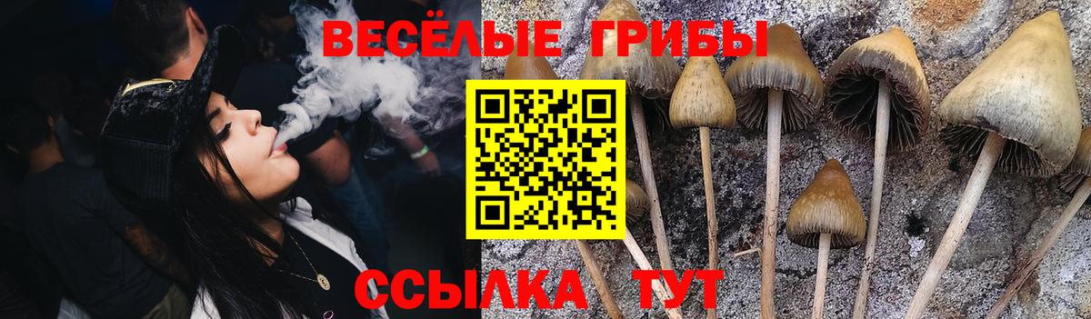 Псилоцибиновые грибы ЛСД Ижевск